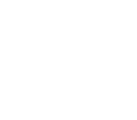 Logo ILVV